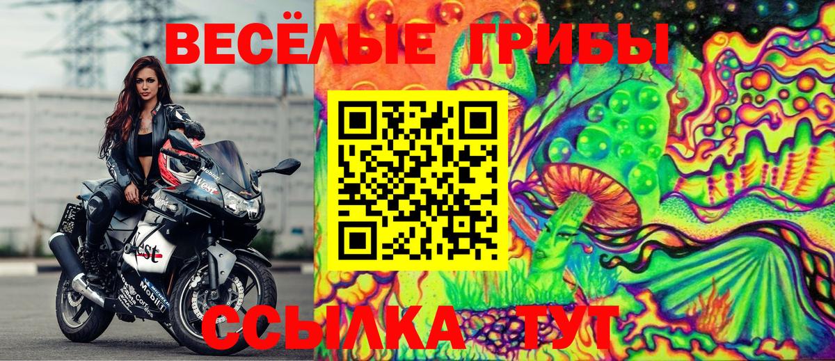 Туапсе  Псилоцибиновые грибы Psilocybe  Вход с VPN 